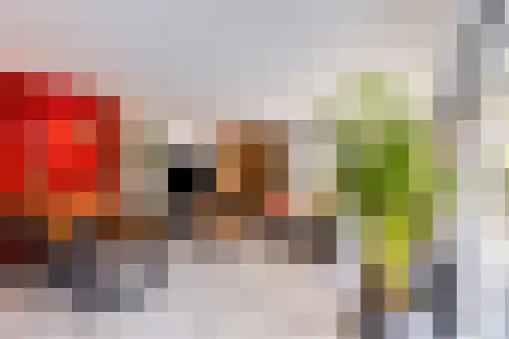 Julianalaan 23 Zoetermeer thumbnail 12