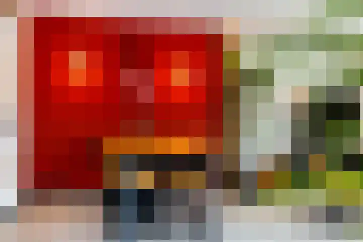 Julianalaan 23 Zoetermeer thumbnail 13