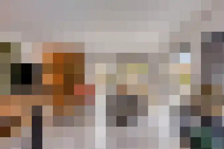 Julianalaan 23 Zoetermeer thumbnail 15