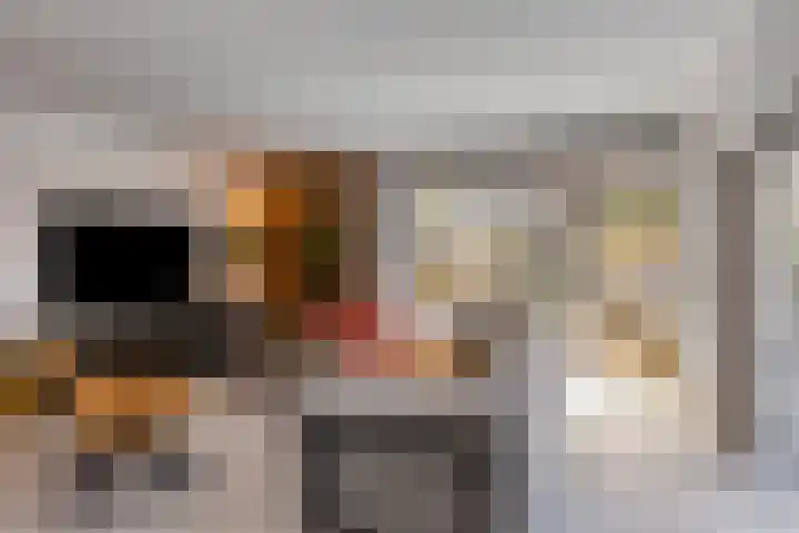 Julianalaan 23 Zoetermeer thumbnail 16