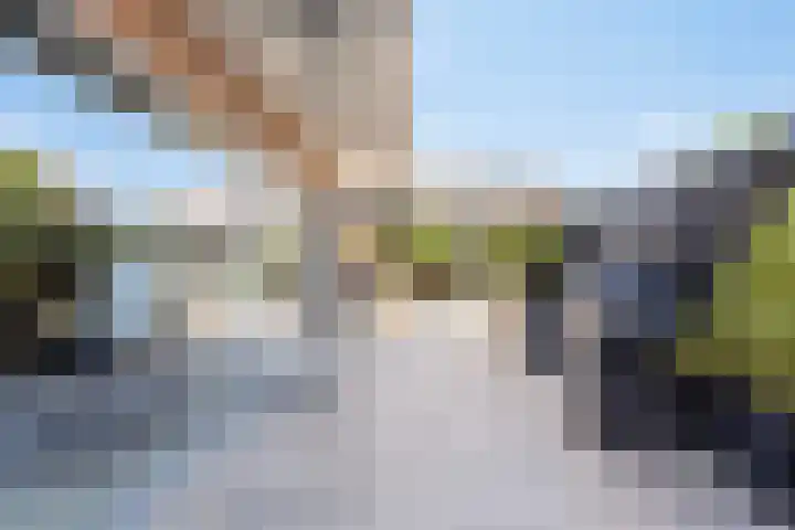Julianalaan 23 Zoetermeer thumbnail 17