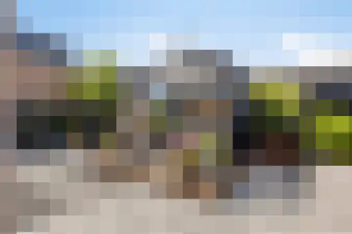 Julianalaan 23 Zoetermeer thumbnail 18