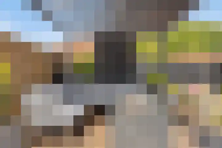 Julianalaan 23 Zoetermeer thumbnail 19