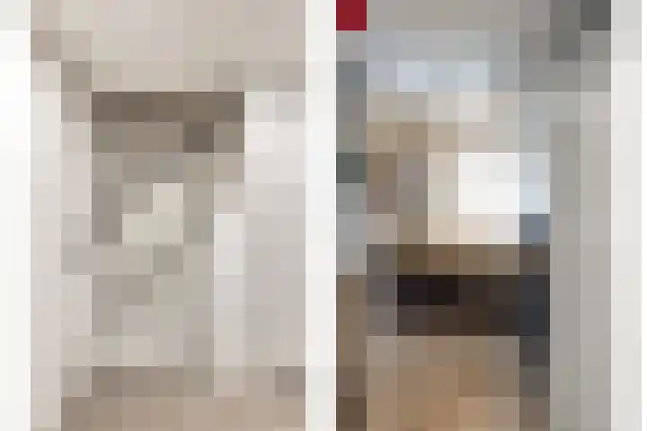 Julianalaan 23 Zoetermeer thumbnail 20