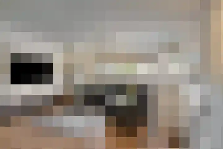 Julianalaan 23 Zoetermeer thumbnail 22
