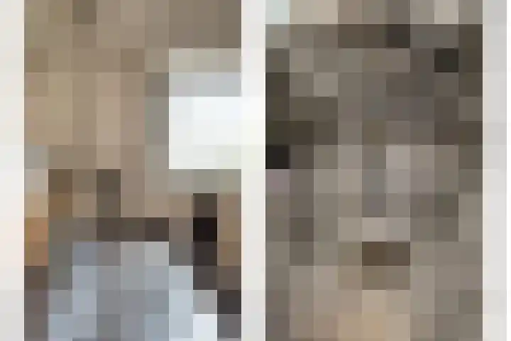 Julianalaan 23 Zoetermeer thumbnail 24