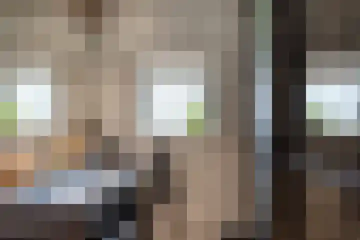 Julianalaan 23 Zoetermeer thumbnail 25