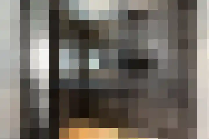 Julianalaan 23 Zoetermeer thumbnail 26