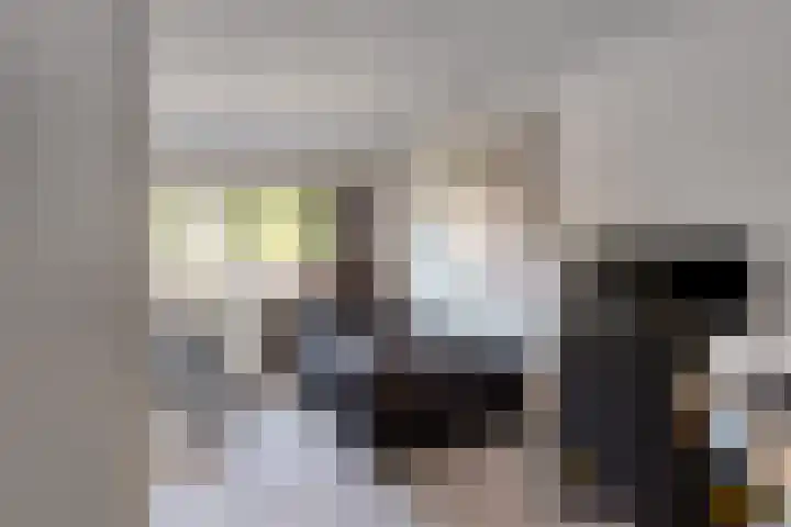 Julianalaan 23 Zoetermeer thumbnail 27