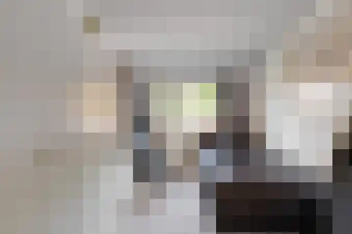 Julianalaan 23 Zoetermeer thumbnail 28