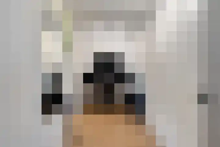 Julianalaan 23 Zoetermeer thumbnail 29