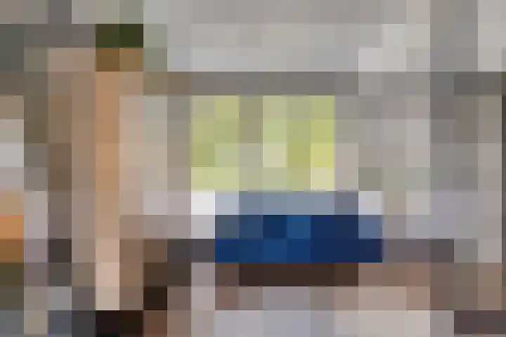 Julianalaan 23 Zoetermeer thumbnail 34