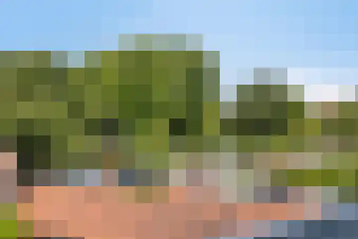 Julianalaan 23 Zoetermeer thumbnail 42