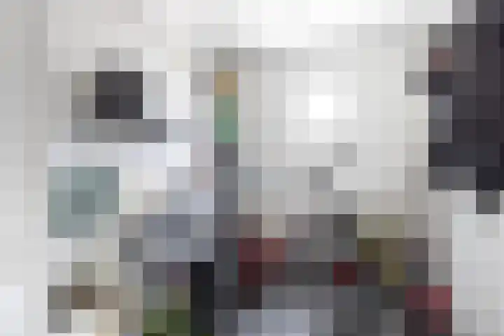 Julianalaan 23 Zoetermeer thumbnail 43