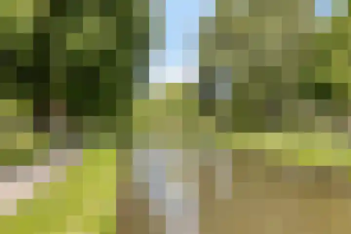 Julianalaan 23 Zoetermeer thumbnail 44