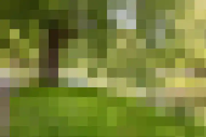 Julianalaan 23 Zoetermeer thumbnail 45