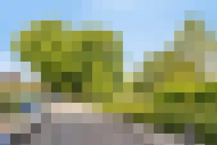 Julianalaan 23 Zoetermeer thumbnail 46