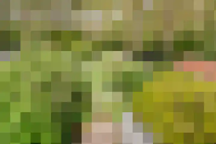Julianalaan 233 Bilthoven thumbnail 15