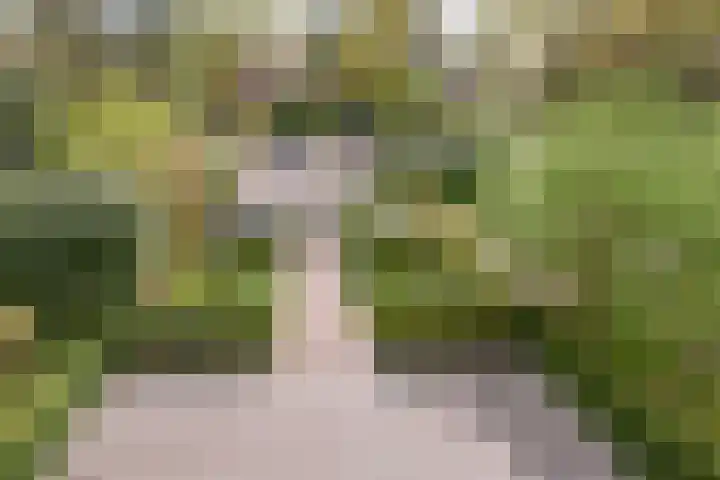 Julianalaan 233 Bilthoven thumbnail 19