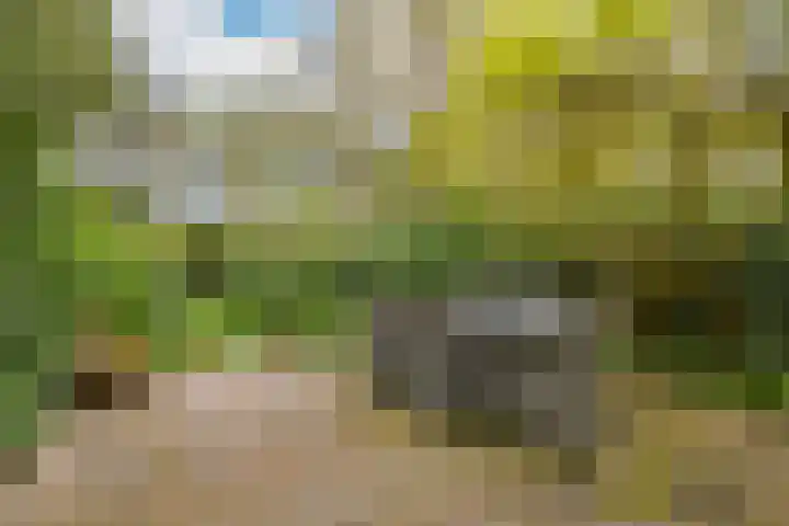 Julianalaan 233 Bilthoven thumbnail 27