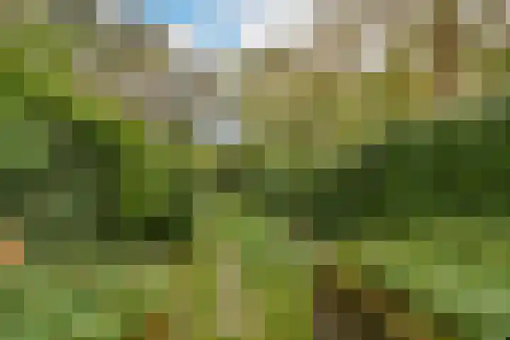 Julianalaan 233 Bilthoven thumbnail 28