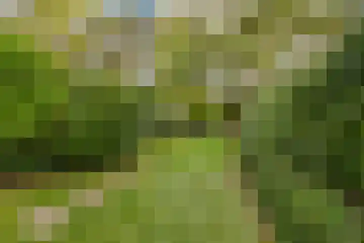 Julianalaan 233 Bilthoven thumbnail 29