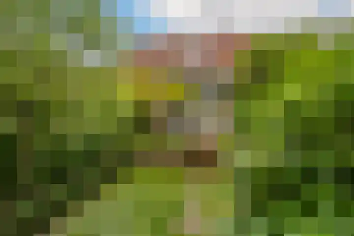 Julianalaan 233 Bilthoven thumbnail 30