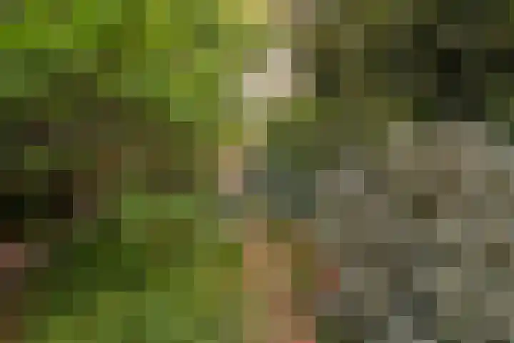 Julianalaan 233 Bilthoven thumbnail 31