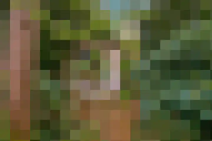 Julianalaan 233 Bilthoven thumbnail 32