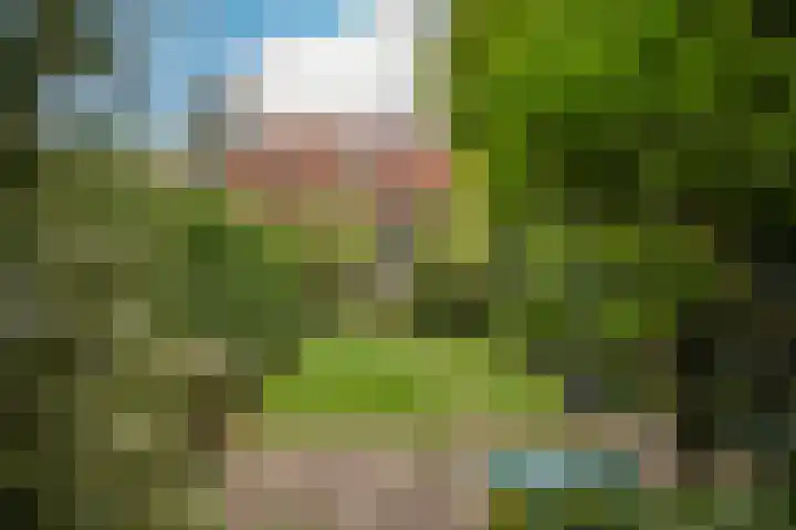 Julianalaan 233 Bilthoven thumbnail 33