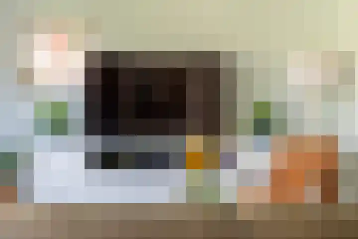 Julianalaan 24 a Tiel thumbnail 11