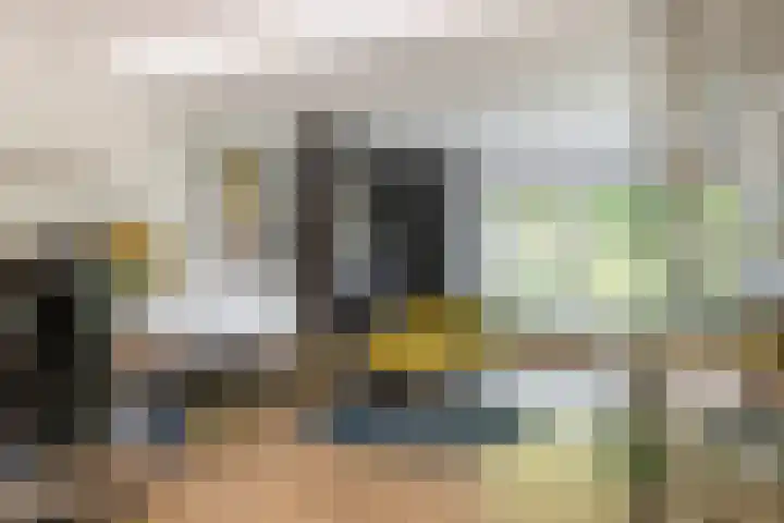Julianalaan 24 a Tiel thumbnail 12