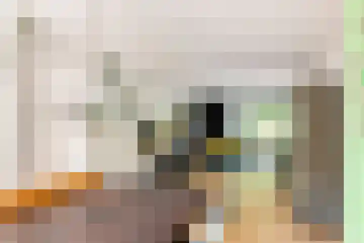 Julianalaan 24 a Tiel thumbnail 13