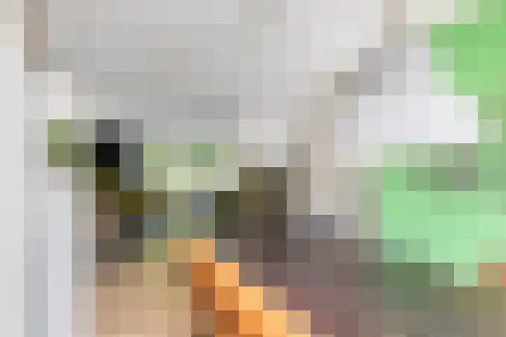 Julianalaan 24 a Tiel thumbnail 14