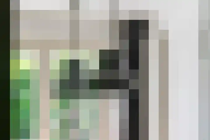 Julianalaan 24 a Tiel thumbnail 15