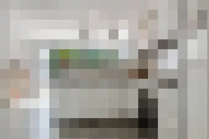Julianalaan 24 a Tiel thumbnail 16