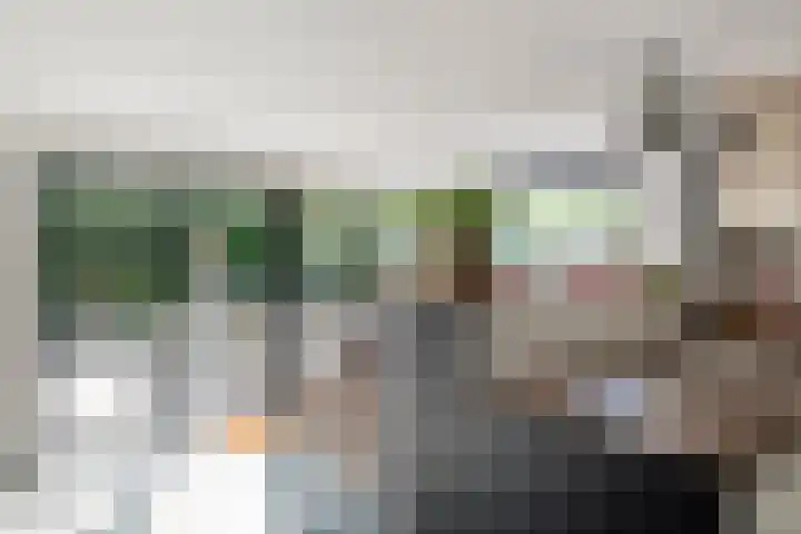 Julianalaan 24 a Tiel thumbnail 18