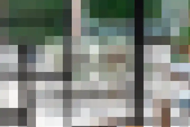 Julianalaan 24 a Tiel thumbnail 19