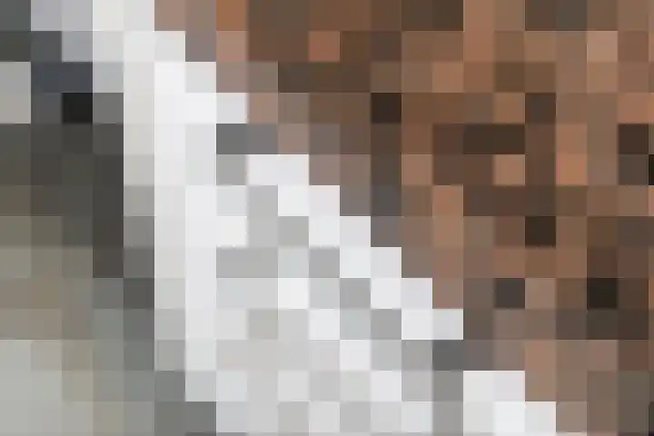 Julianalaan 24 a Tiel thumbnail 21