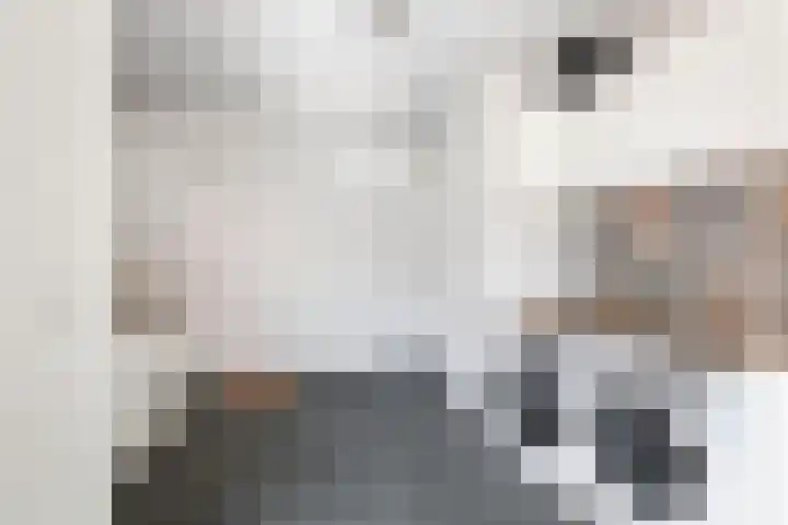 Julianalaan 24 a Tiel thumbnail 26
