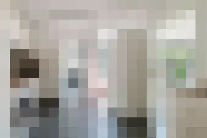 Julianalaan 24 a Tiel thumbnail 28