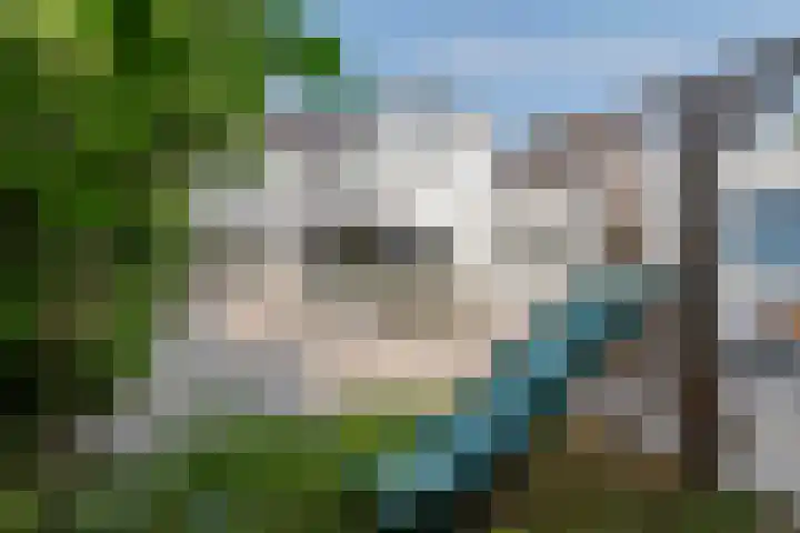 Julianalaan 24 a Tiel thumbnail 30