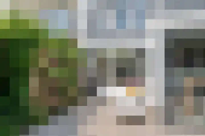 Julianalaan 24 a Tiel thumbnail 32