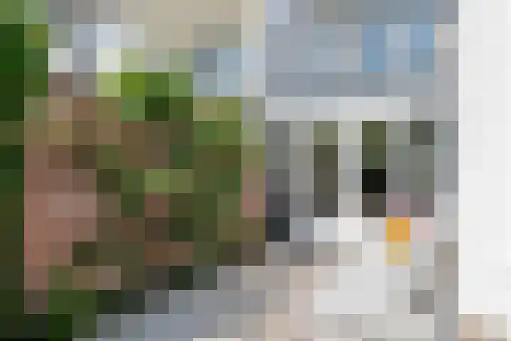 Julianalaan 24 a Tiel thumbnail 34