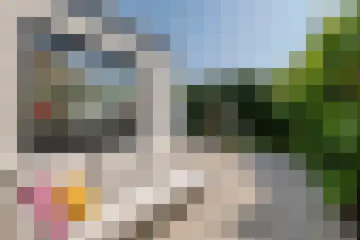 Julianalaan 24 a Tiel thumbnail 35