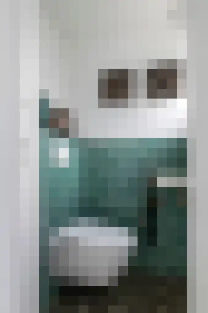 Julianalaan 24 a Tiel thumbnail 38