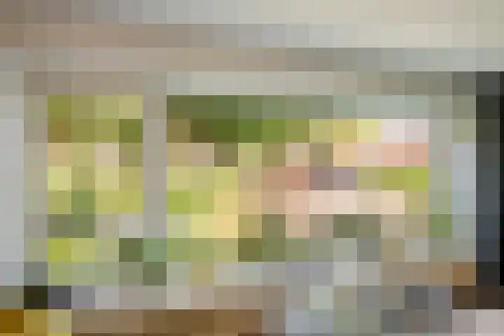 Julianalaan 24 a Tiel thumbnail 4