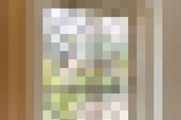 Julianalaan 24 a Tiel thumbnail 42