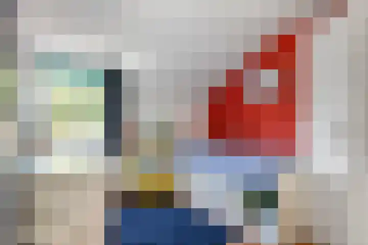 Julianalaan 24 a Tiel thumbnail 44