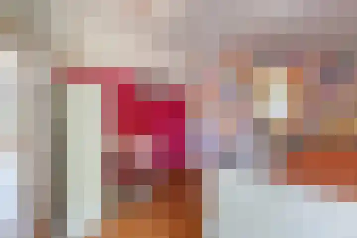 Julianalaan 24 a Tiel thumbnail 46